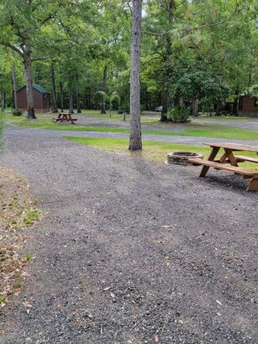 Okefenokee Pastimes Cabins And Campground Stanley Landing Ngoại thất bức ảnh